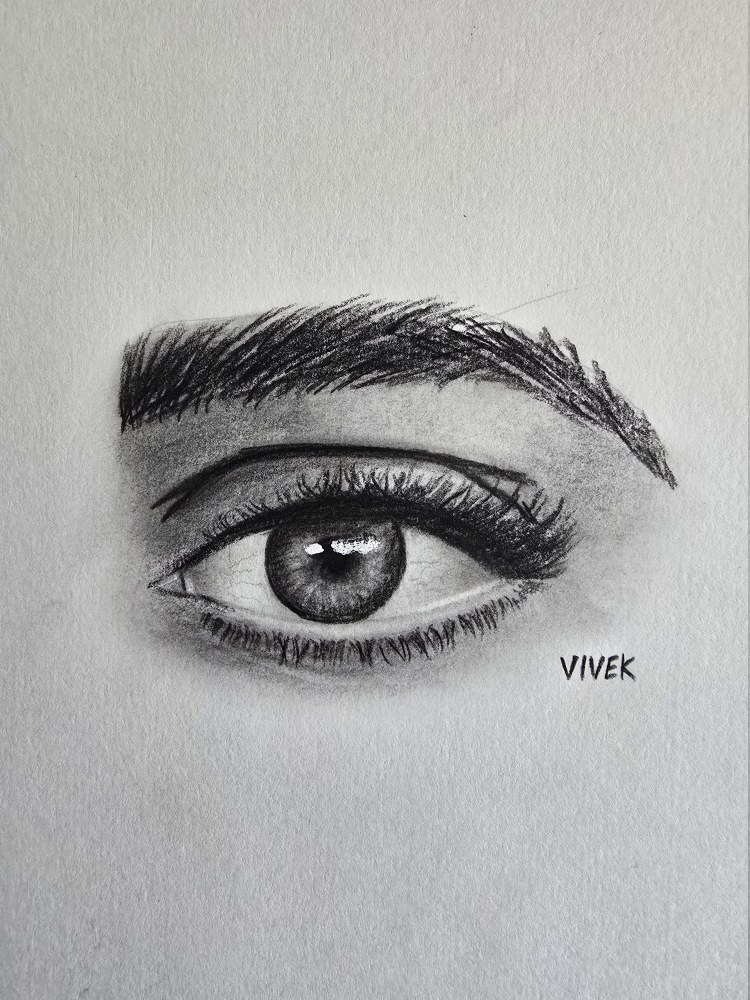 Realistic graphite study of an eye