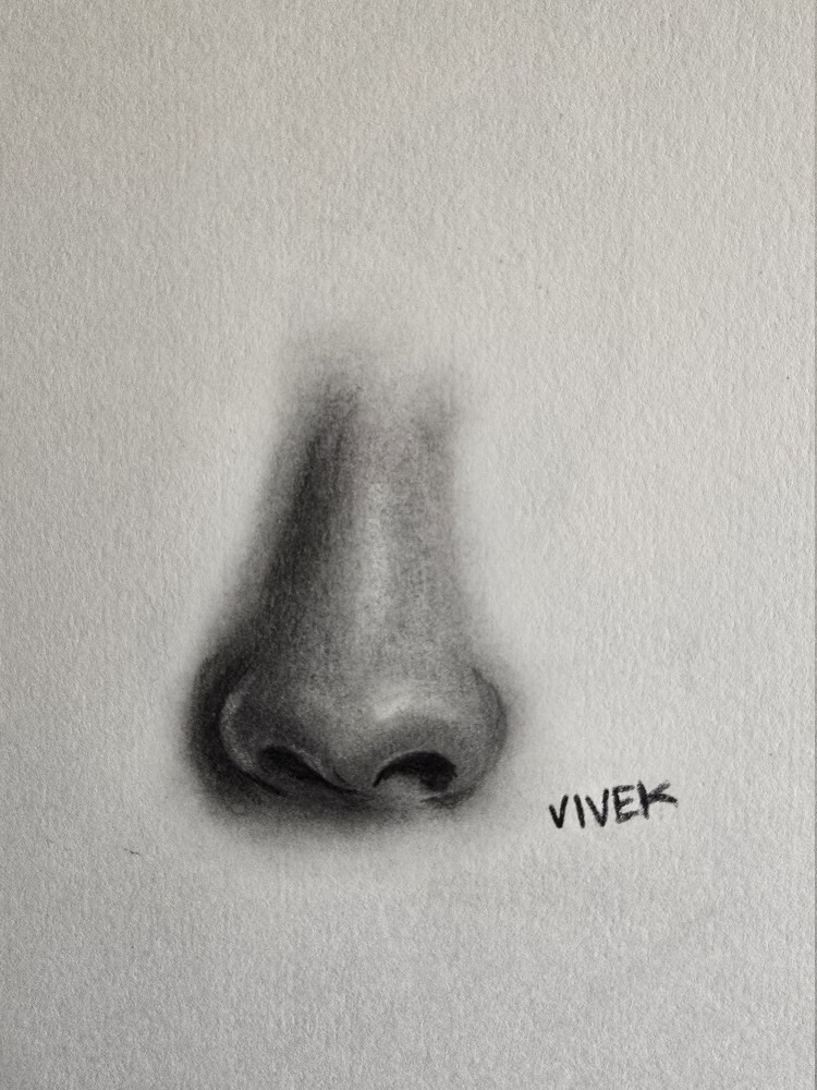 Realistic graphite study of a nose